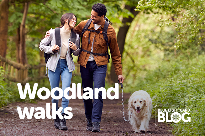 Enjoy woodland walks (whatever the weather!)