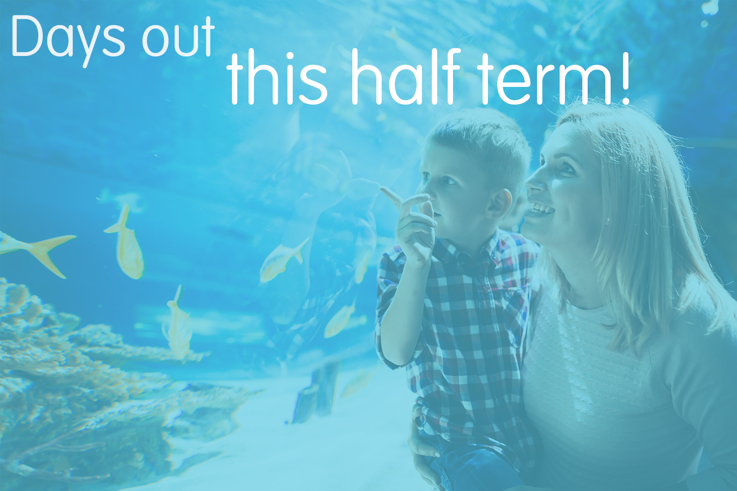 Have fun this half-term